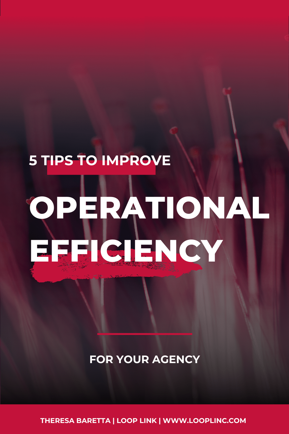 5 tips to improve operational efficiency for your agency